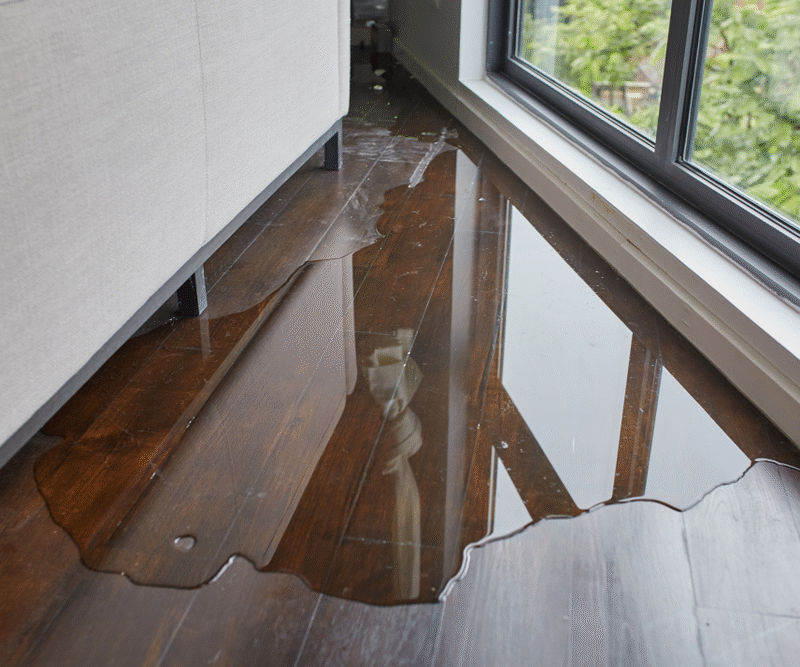 family room flooded with leak on hardwood floor behind couch
