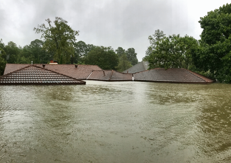 homes flooded to roofs
